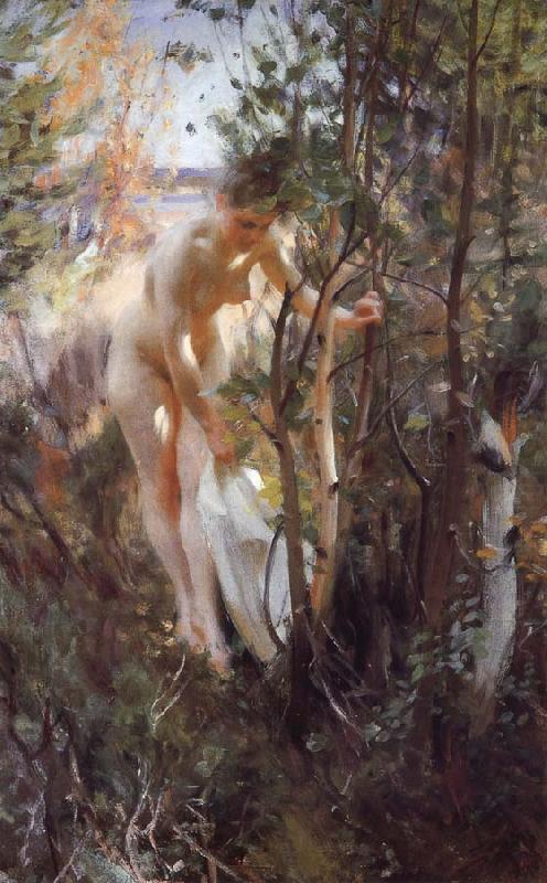 Unknow work 88, Anders Zorn